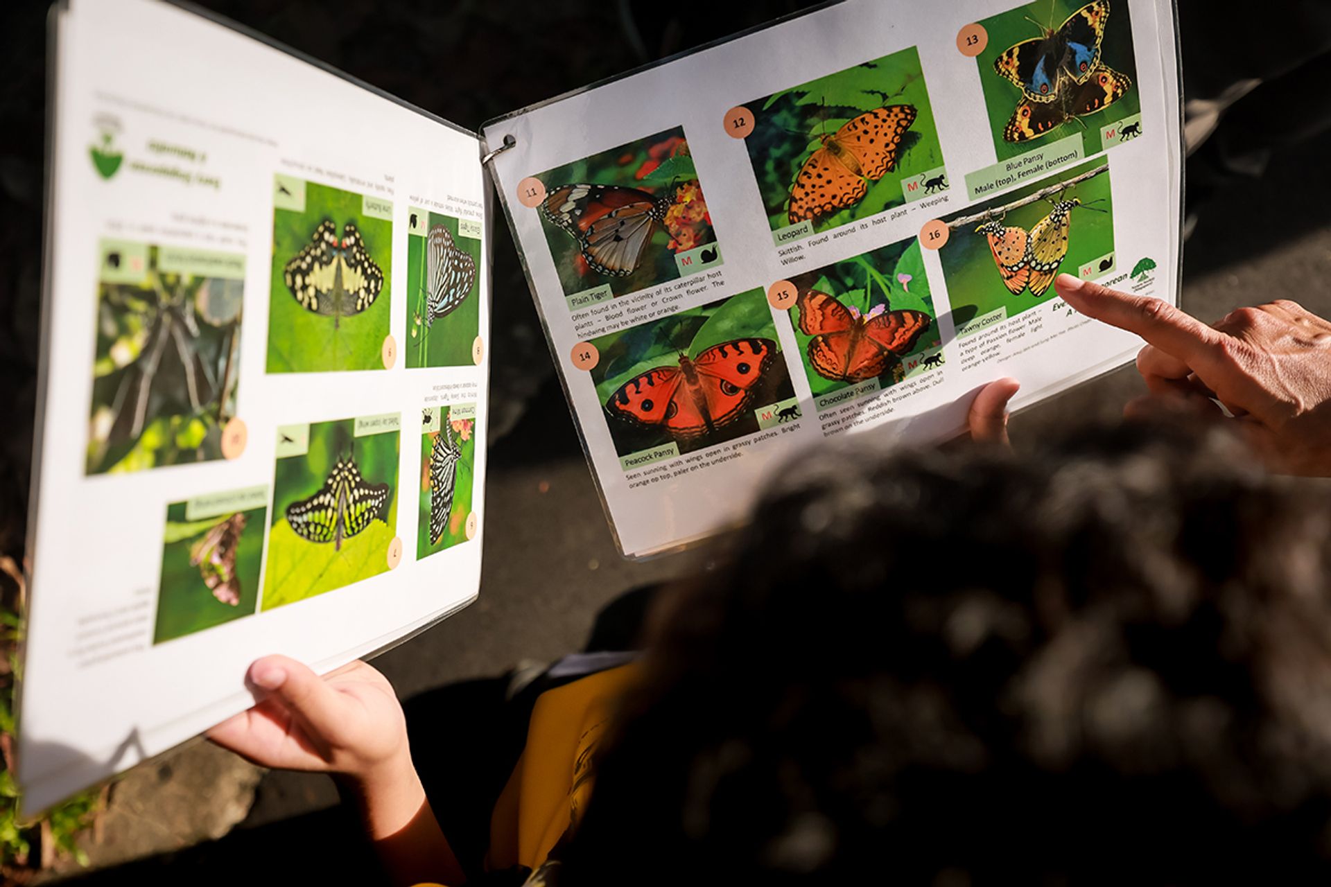 The NSS provides reference cards to help students identify their snapshots.