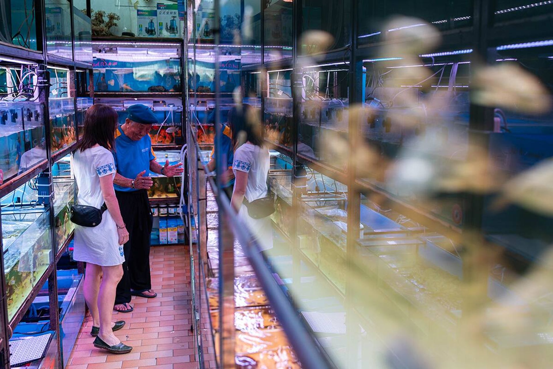 Besides painting, Mr Loke also enjoys rearing fish. Here, he is at a fish shop with his daughter in Clementi Avenue 2.