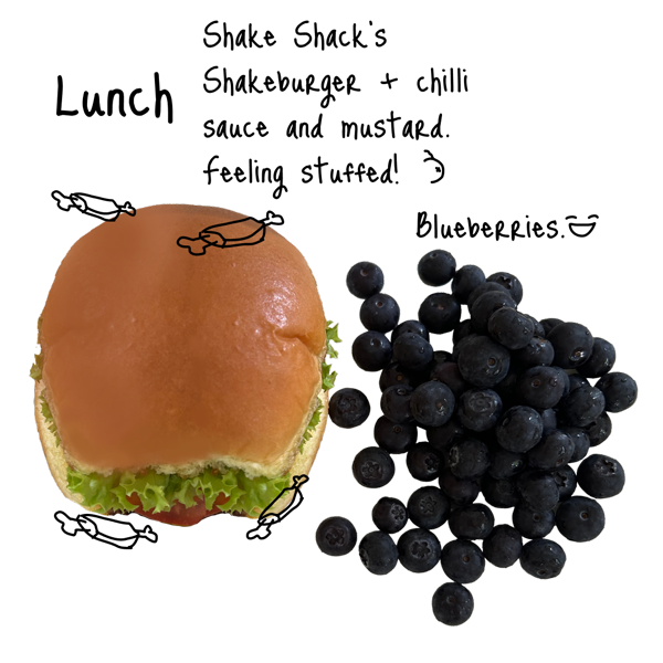 Shake Shack’s Shakeburger with chilli sauce and mustard. Feeling stuffed! Blueberries.