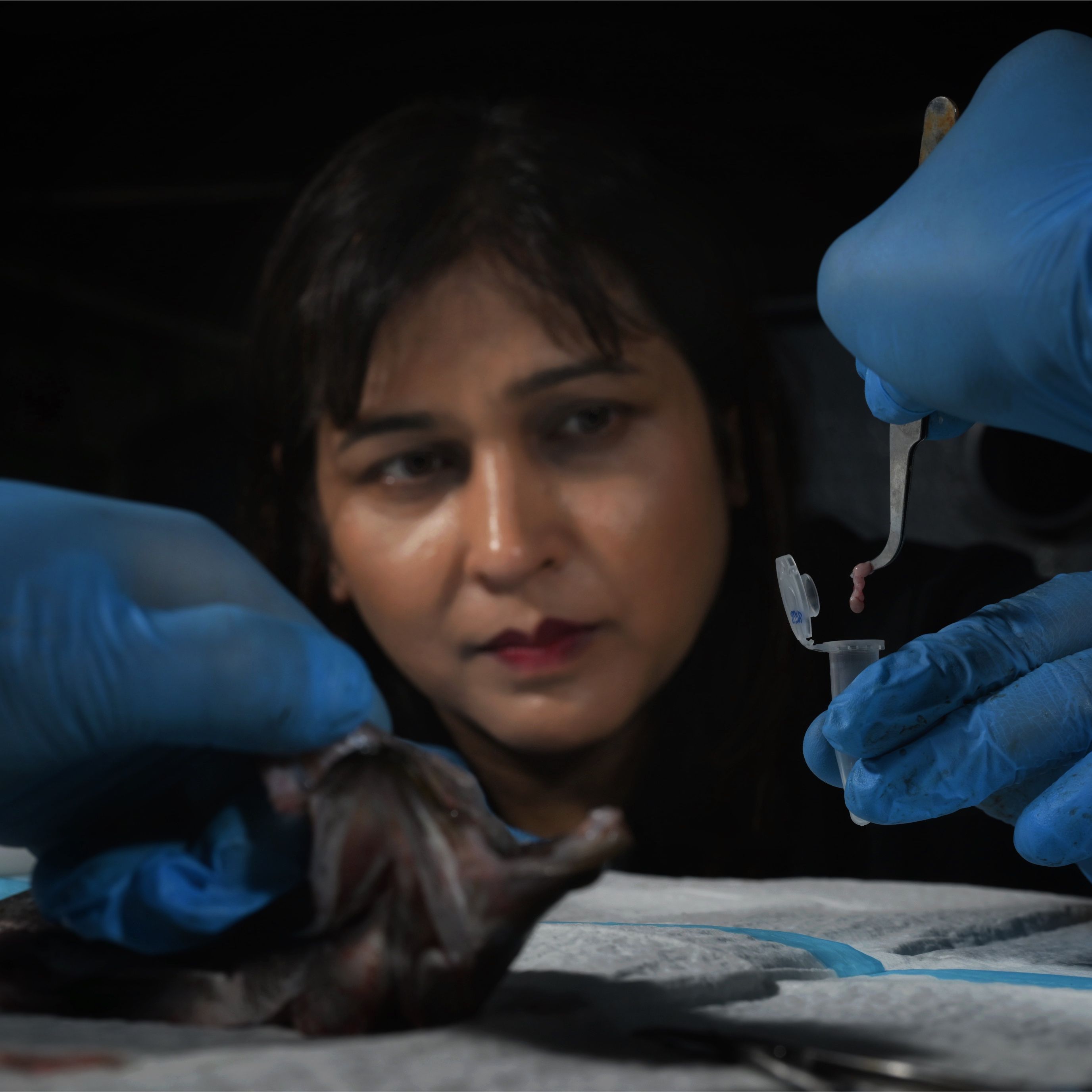 An image of Dr Shubha Vij who is a fish geneticist.