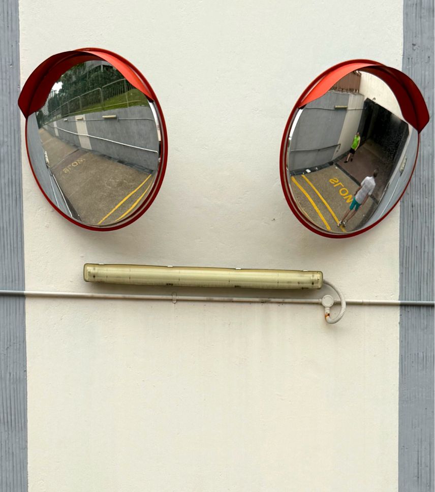 Convex mirrors