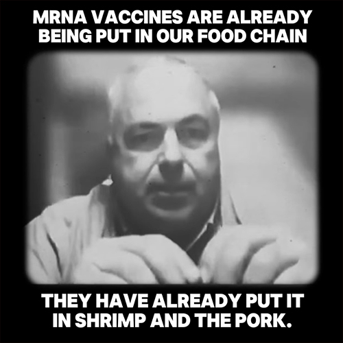 mRNA vaccines