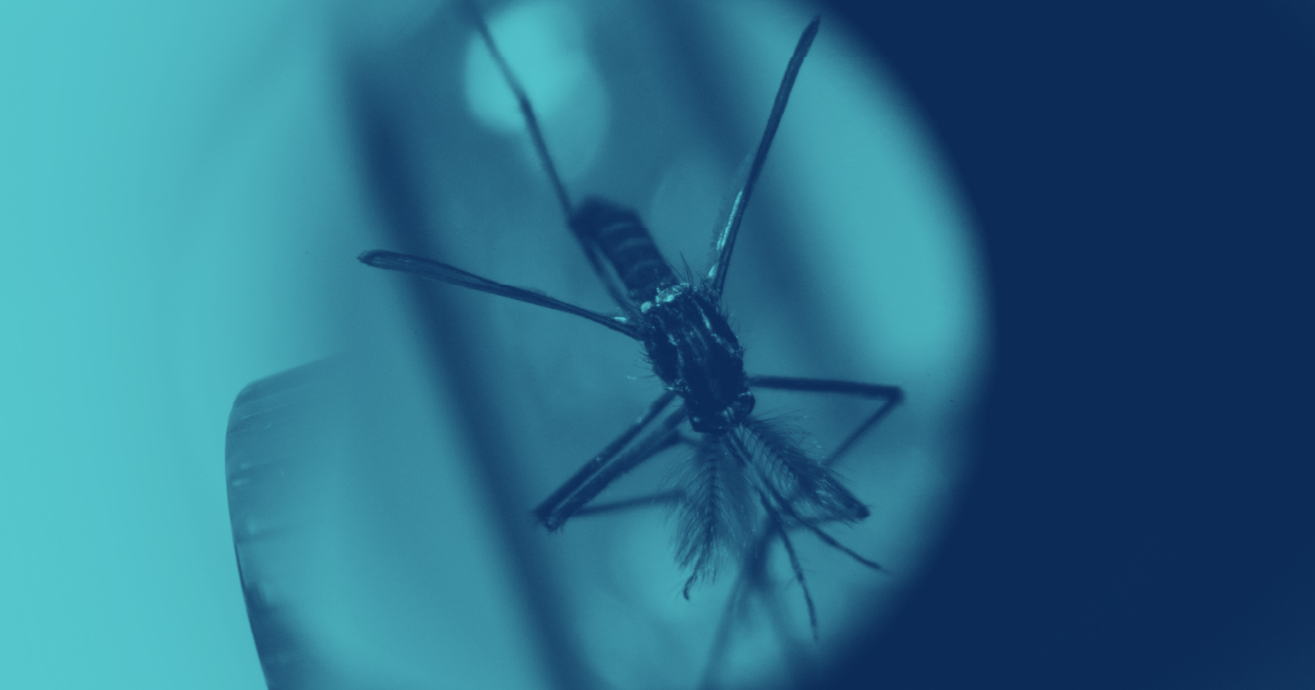 The Straits Times Weekly News Quiz April 28 Dengue Cases Government the-straits-times-weekly-news-quiz-april-28-dengue-cases-government