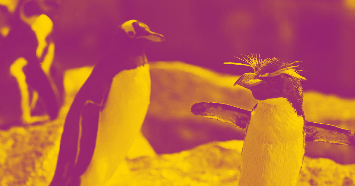 The Straits Times Weekly News Quiz May 5 Weekly News Quiz Penguin the-straits-times-weekly-news-quiz-may-5-weekly-news-quiz-penguin