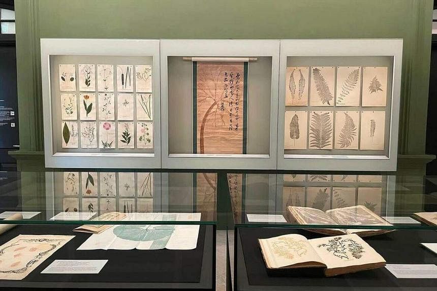 arts picks: exhibitions of lasalle and nafa artists, botanical art prints and rare buddhist relics