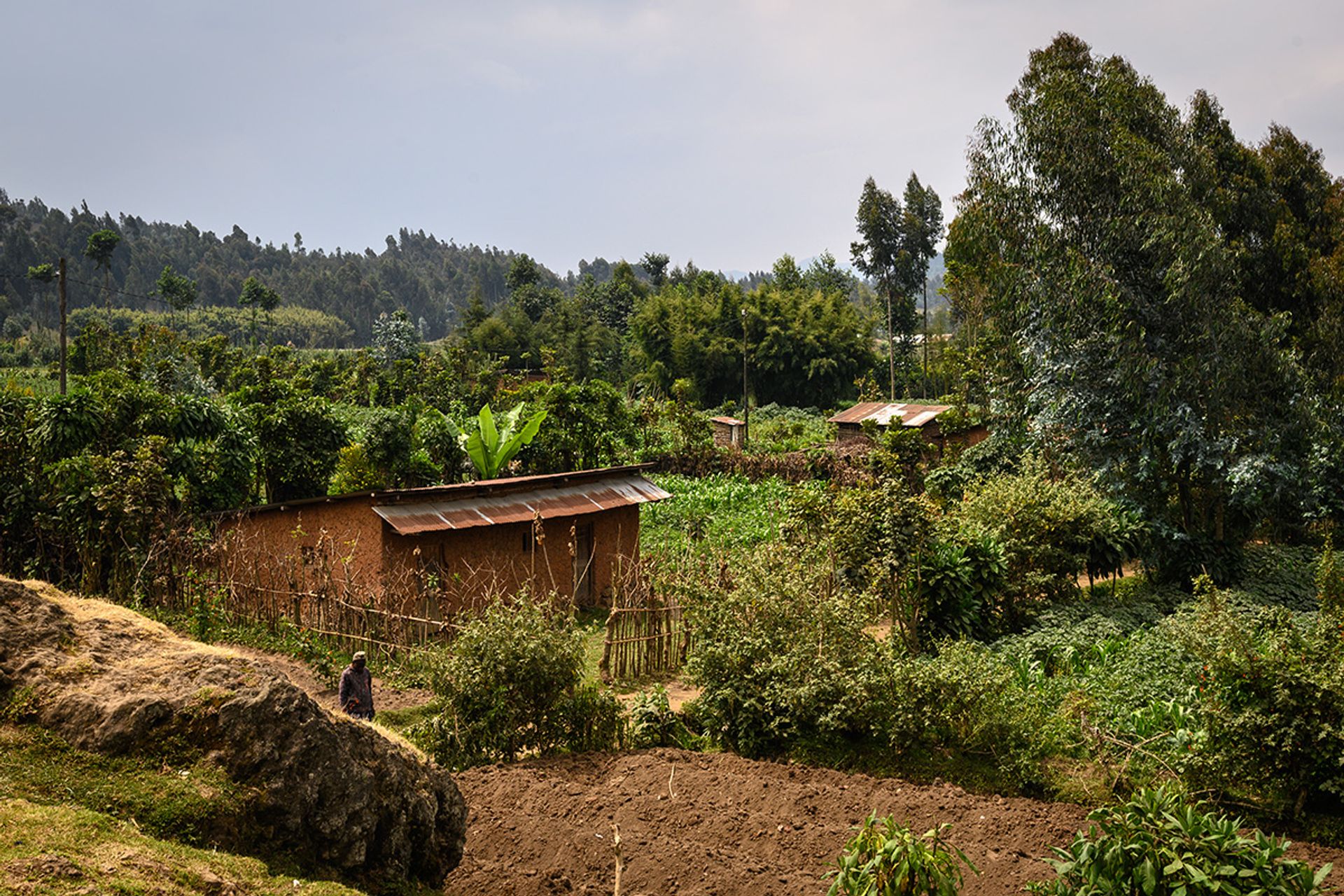 One of the farms at the foothill that line the path to the volcanic range. This household is among 3,000 families that will be relocated to make way for a buffer zone.